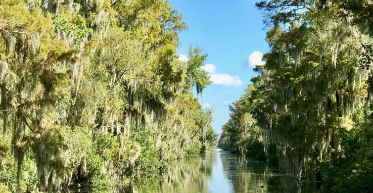 From Lafitte: Swamp Tours South of New Orleans by Airboat