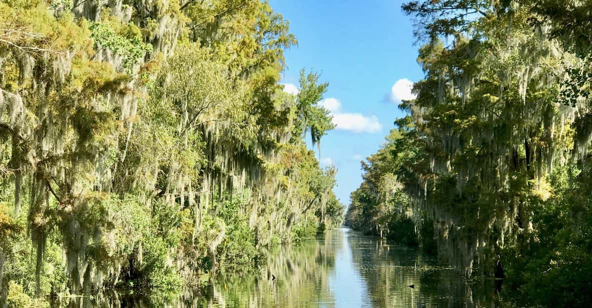 Swamp Tours South of New Orleans by Airboat