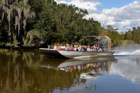 From Lafitte: Swamp Tours South of New Orleans by Airboat
