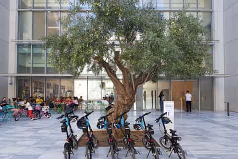 From Athens: E-Bike Ride to the Sea