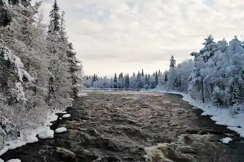 Rovaniemi : Vaattunki Randonnée sur le sentier du cercle arctique