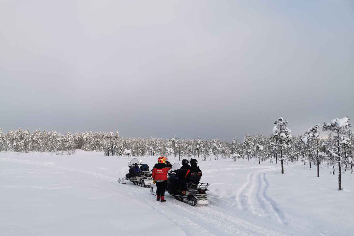 Rovaniemi: 3-Hour Snowmobile Safari in Lapland