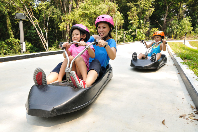 Cingapura: Ingressos para Skyline Luge SentosaLuge e Skyride 4 Rondas