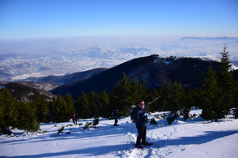 Vanuit Sofia: Sneeuwschoenwandeling op de Vitosha bergVan Sofia: sneeuwschoenwandeling op de berg Vitosha