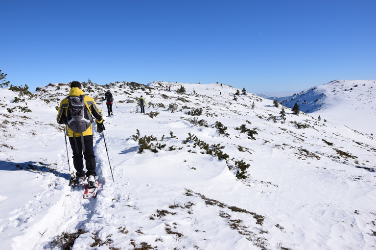 Vanuit Sofia: Sneeuwschoenwandeling op de Vitosha bergVan Sofia: sneeuwschoenwandeling op de berg Vitosha