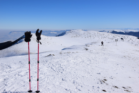 Vanuit Sofia: Sneeuwschoenwandeling op de Vitosha bergVan Sofia: sneeuwschoenwandeling op de berg Vitosha