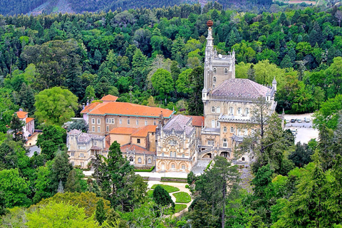 Visite privée de Lisbonne et Sintra