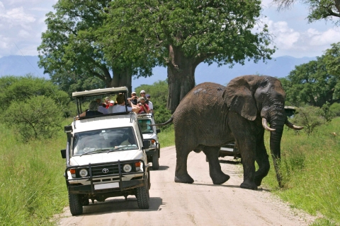 Tsavo Wschód i Zachód: 3-dniowe safari dzikiej przyrody z Mombasy