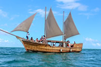 Sirene d'or Boat Cruise to Ile aux Cerfs with Lunch - Housity