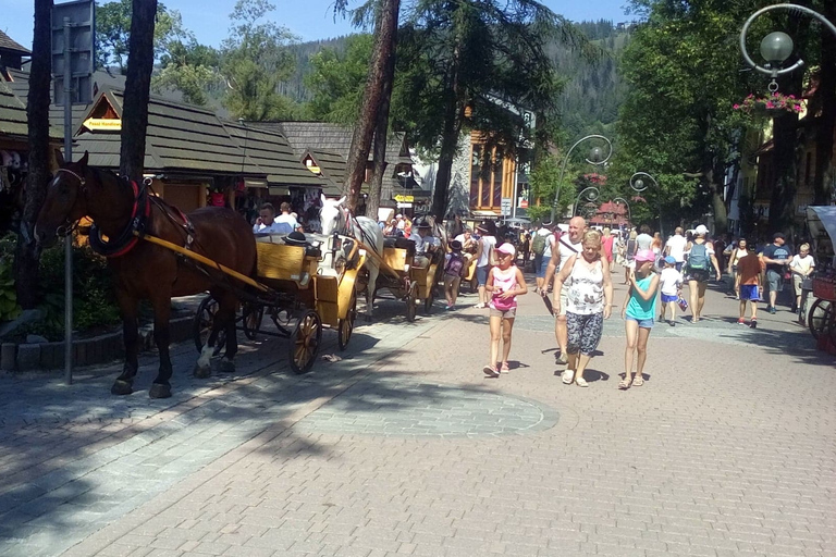 From Krakow: Zakopane &amp; Hot Thermal Springs Private TourPrivate Tour and a vehicle only for your group