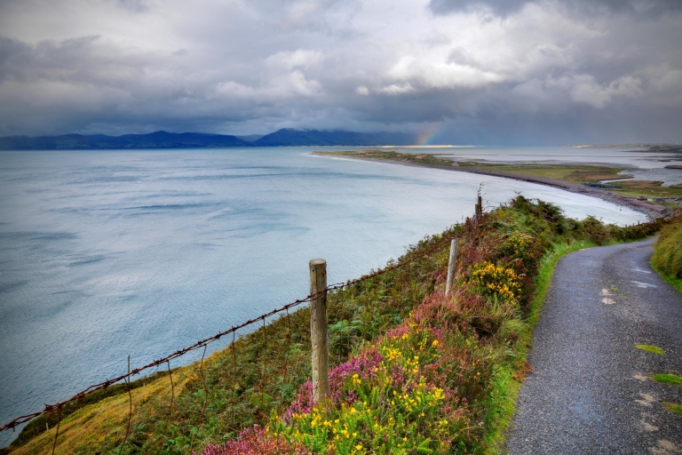 Tour de cuatro días por la costa sur y oeste: Irlanda2 o más pasajeros