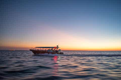 Darwin: Sunset Harbour Cruise with Fish and Chips Dinner