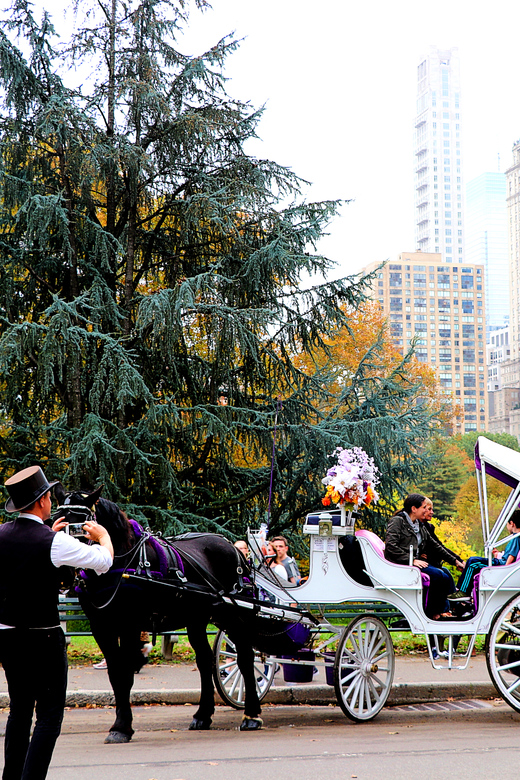 NYC: Central Park Horse-Drawn Carriage Ride (up to 4 Adults) | GetYourGuide