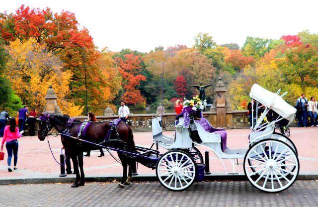 NYC: Paseo en coche de caballos por Central Park (hasta 4 adultos)