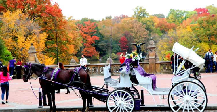 Central Park and NYC Horse Carriage Ride OFFICIAL ( ELITE Private) Since  1970™