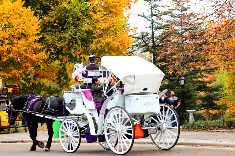 New York City: met de paardenkoets door Central Park