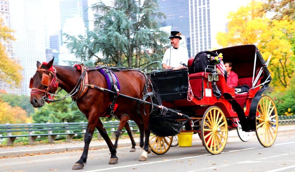 NYC: Central Park Horse-Drawn Carriage Ride (up to 4 Adults) | GetYourGuide