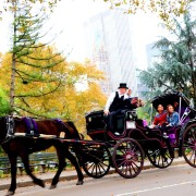 New York City: Central Park Horse-Drawn Carriage Ride
