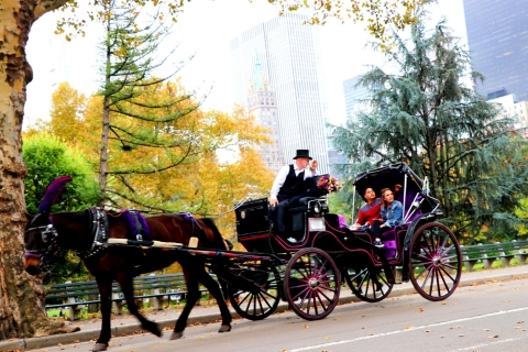 New York City: met de paardenkoets door Central Park