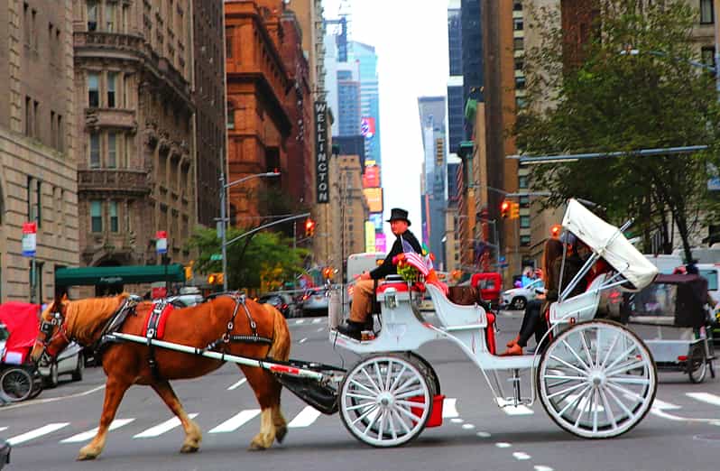 New York City Central Park HorseDrawn Carriage Ride GetYourGuide