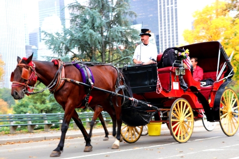 Paseo en carro de caballos estándar en Central Park