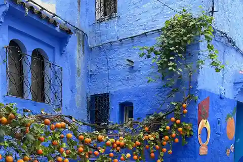 Visite guidée à pied de Chefchaouen avec un guide expérimenté