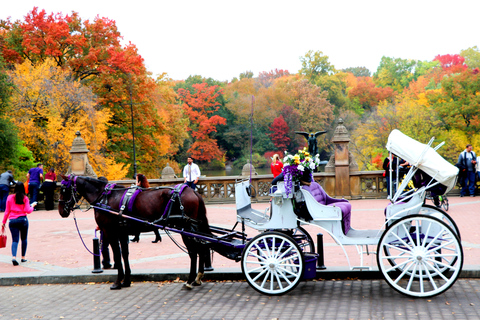 Central Park: Short Horse Carriage Ride (Up to 4 Adults)Central Park: Short Loop Horse Carriage Ride