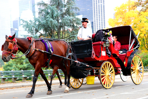 Central Park: Short Horse Carriage Ride (Up to 4 Adults)Central Park: Short Loop Horse Carriage Ride