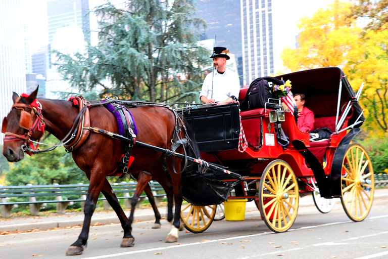 Central Park: Short Horse Carriage Ride (Up to 4 Adults)Central Park: Short Loop Horse Carriage Ride