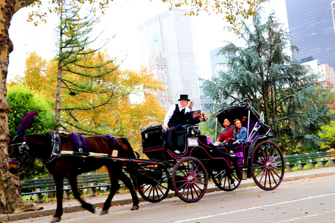 Central Park: passeio curto de carruagem (até 4 adultos)Central Park: Passeio de Carruagem em Circuito Reduzido