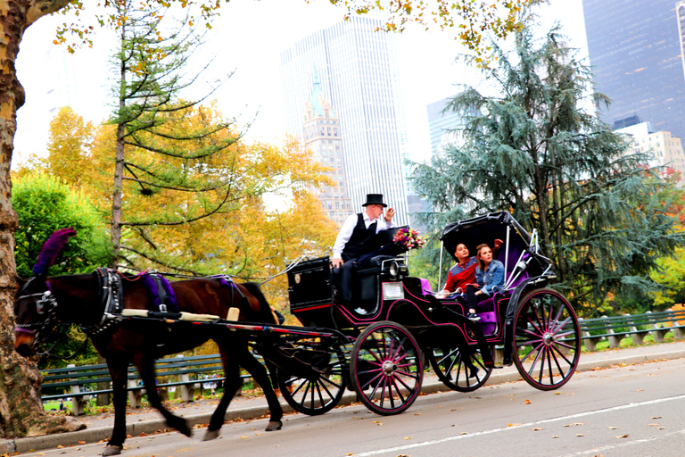 Central Park: Short Horse Carriage Ride (Up to 4 Adults)Central Park: Short Loop Horse Carriage Ride