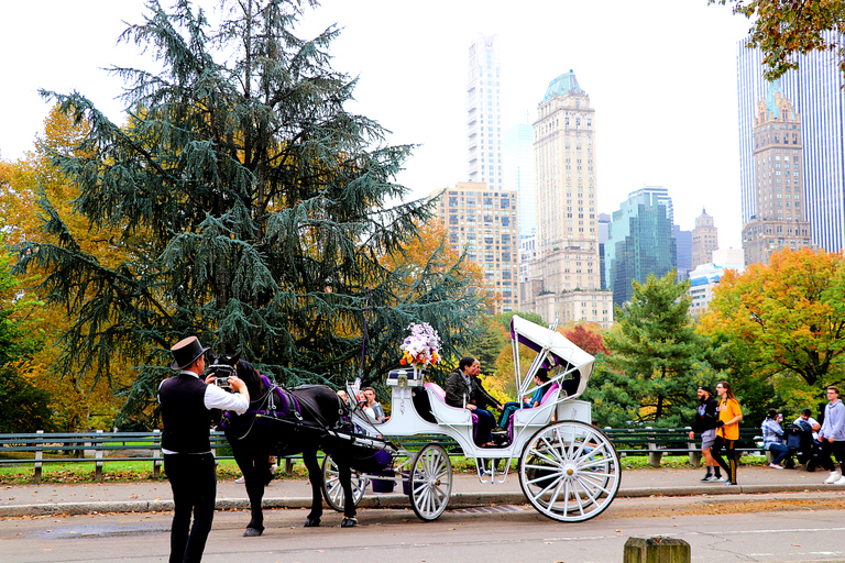 Central Park: Short Horse Carriage Ride (Up to 4 Adults)Central Park: Short Loop Horse Carriage Ride