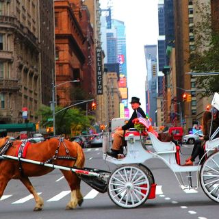 Central Park, Rockefeller & Times Square Horse Carriage Ride
