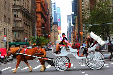 Central Park, Rockefeller & Times Square Horse Carriage Ride