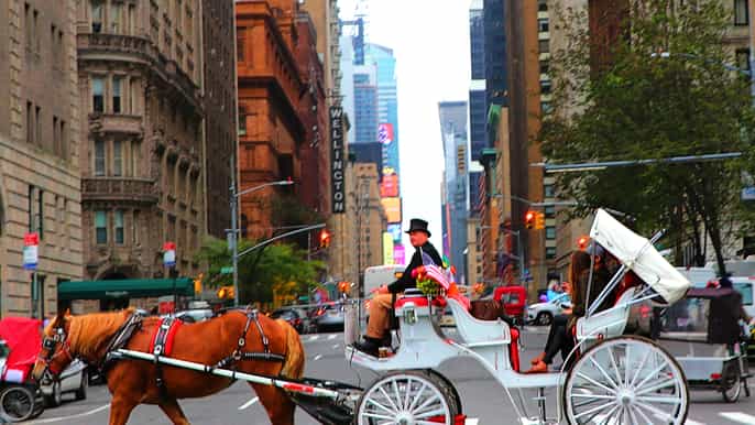 central park rockefeller times square horse carriage ride