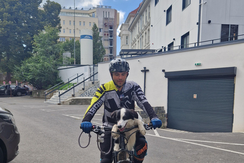 Ride Brașov’s Wild Trails with Daisy & Taste Local Life