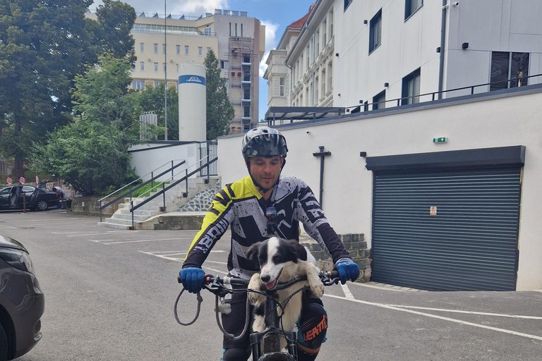 Ride Brașov’s Wild Trails with Daisy & Taste Local Life