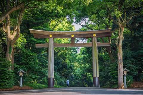 tokyo signature sightseeing tour