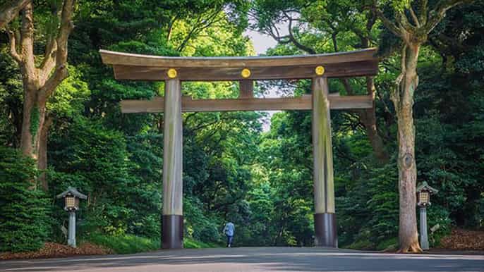 tokyo signature sightseeing tour