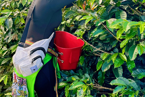 Medellín: Kaffeefarm-Tour – Probiere die Geschichten der SierraSpanisch