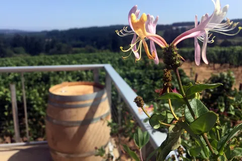 From Portland: Willamette Valley Character Wineries