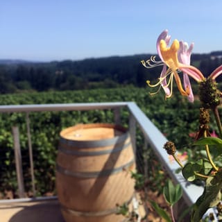 From Portland: Willamette Valley Character Wineries
