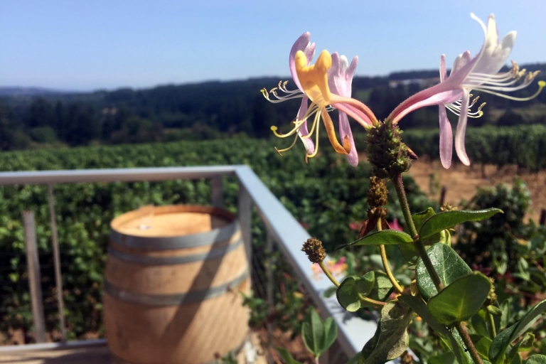 De Portland: vignobles de caractère Willamette Valley