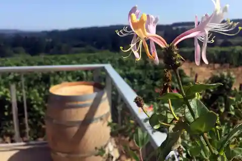 From Portland: Willamette Valley Character Wineries