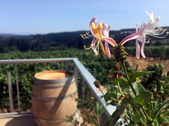 Aus Portland: Willamette Valley Character Wineries Aus Portland: Willamette Valley Character Wineries