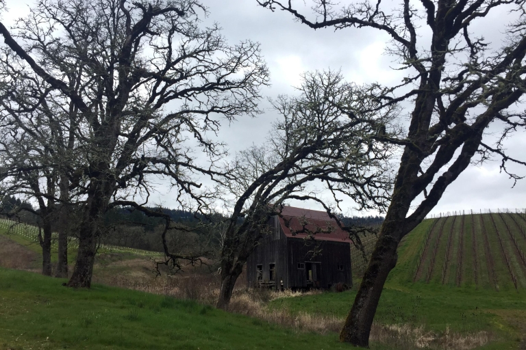 Z Portland: Winiarnie charakterystyczne dla doliny Willamette