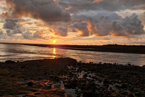 Puerto Jimenez, Corcovado 1 natt 2 dagar ankommer med båt avgår med båt.