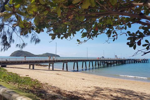 Cairns: Aquarium Visit and City Sightseeing Tour with Lunch