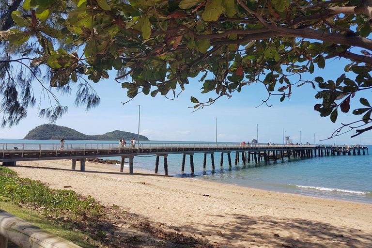 Cairns: Aquarium Visit and City Sightseeing Tour with Lunch