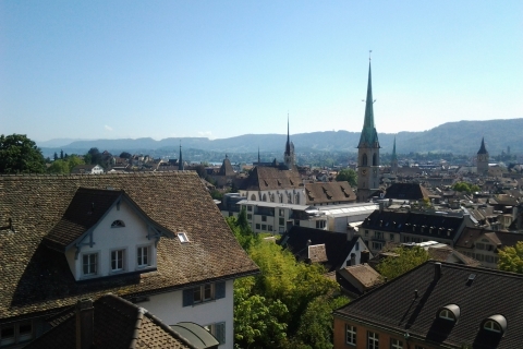 Visite guidée privée du centre-ville de Zürich et croisière en bateau sur le lacZürich : Visite guidée privée du centre-ville